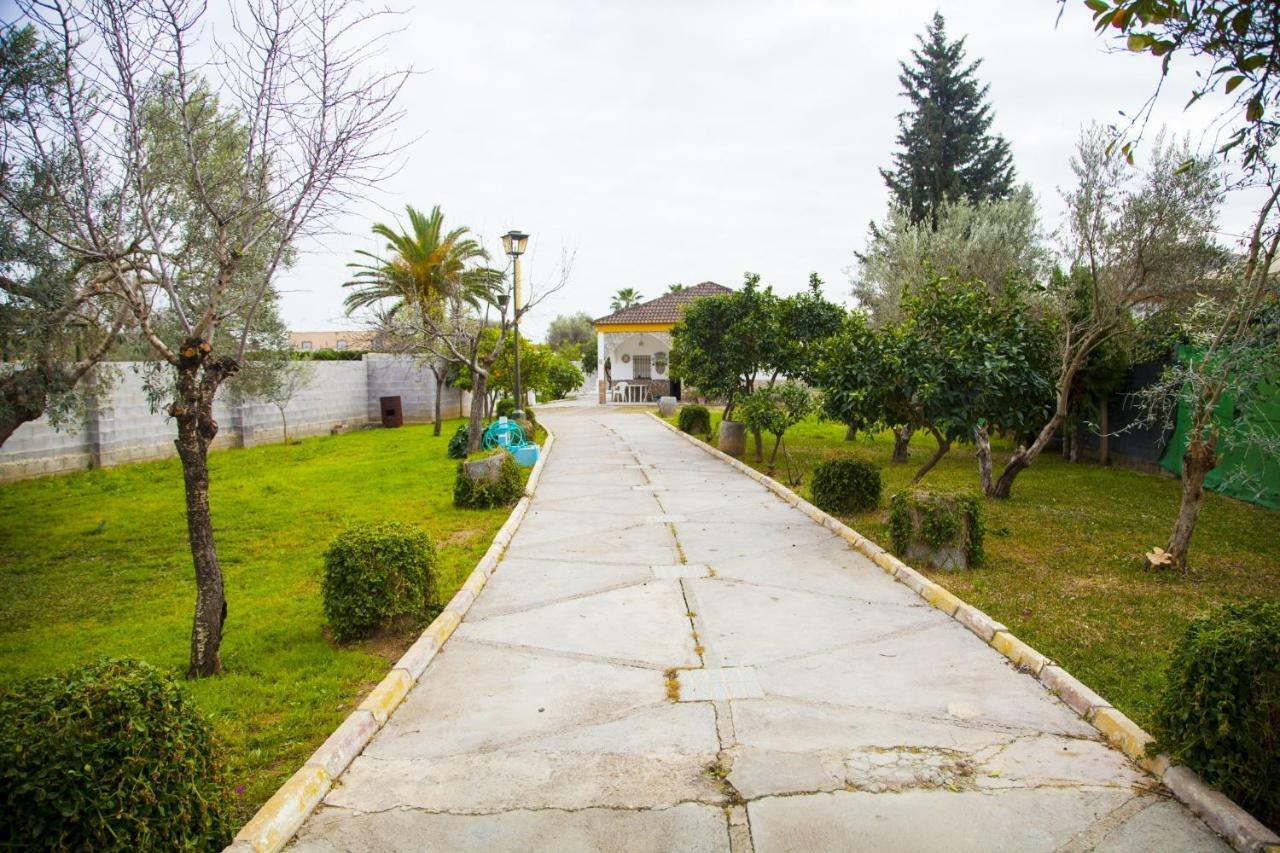 Chalet Piscina Jakuzzi Sevilla Hacienda de Tarazona ภายนอก รูปภาพ